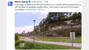 겁 없는 濠 10대들, 경찰 피하려다 10m 절벽서 뛰어내려