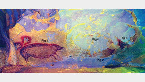 4만5000년 전 멧돼지…印尼서 가장 오래된 동굴 벽화 발견