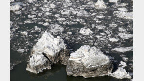 한파 물러간 한강에 유빙이 ‘둥둥’[청계천 옆 사진관]