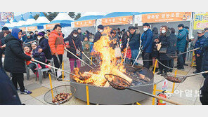 ‘공주 군밤축제’ 개최 놓고 찬반 의견 팽팽