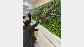 구청 민원실에 실내정원 설치