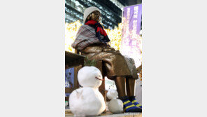 日자민당 “신임 대사 부임 보류” 검토…위안부 판결 대항 가시화