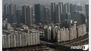 물꼬 튼 서울 공공재개발…정부 발표뒤 해당지역 문의 ‘급증’