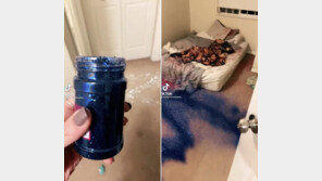 “날 두고 바람을?”…전남친 침실·거실에 ‘반짝이’ 테러