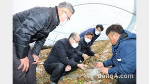[포토]농협중앙회 부회장, 폭설 한파 피해지역 점검