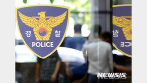 “정인이 동영상이 돌아다녀요” 112신고…가짜로 확인