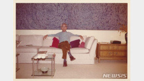 100억대 김환기·천경자 그림 훔쳐 판 일당…2심도 실형