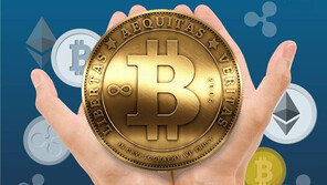 3000억원 비트코인 버린 男 “쓰레기 매립지 파겠다” 요청했지만…