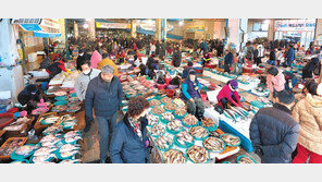 북적이는 포항 죽도시장