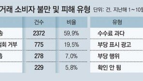 SNS 플랫폼 거래로 주문했더니 1년째 ‘배송중’