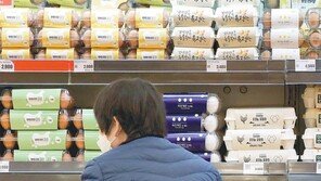 삼겹살 24% 양파 69% 껑충…집콕시대 살벌한 집밥 물가