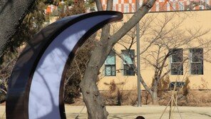 달의 휴식[고양이 눈]