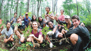 함양산삼-고성공룡엑스포 올해는 열릴까?