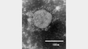일본에 변이 바이러스 확산했나…해외이력 없는 3명 확진