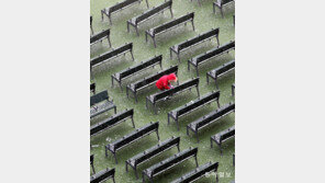 하얀 놀잇감[고양이 눈]