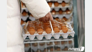 코로나에 한파·폭설·AI까지…줄줄이 치솟는 ‘장바구니 물가’