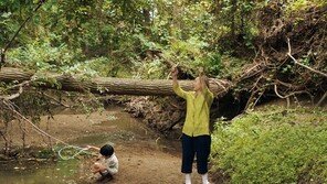 윤여정, 샌프란시스코 비평가협회 여우조연상까지 美 시상식 13관왕
