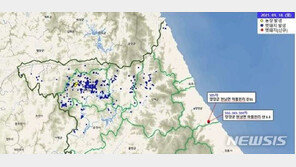 양양서 ASF 감염 멧돼지 폐사체 4건 발견…강원 총 505건
