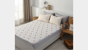 보국전자 “한국소비자원 전기장판 품질 시험서 온도균일성 ‘우수’ ·소비전력량 ‘↓’”