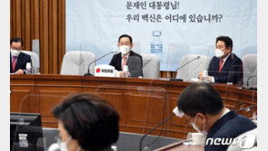 국민의힘 “대통령의 입양 인식, 인간 존엄성 자체를 짓밟아”