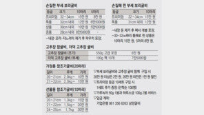 법성포 바닷바람에 말린 감칠맛 나는 부세