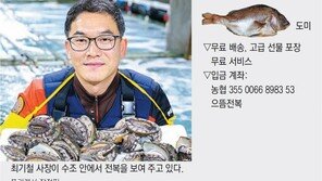 이번 명절 선물로 ‘바다의 웅담’ 전복 어때요?