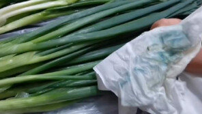 “싱싱해 보이려…” 대파에 색소 뿌려 판매한 상인들 ‘뭇매’