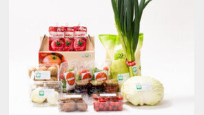 충북도 “임산부에 친환경 농산물 꾸러미 지원”