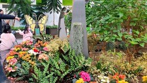 따뜻한 식물원 나들이 가볼까