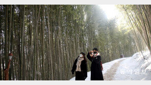 눈 쌓인 죽녹원에서 추억을…