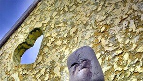 너에게 기대어[고양이 눈]