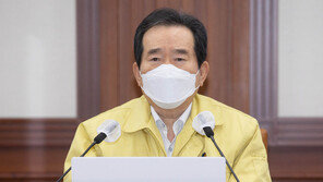 丁 총리 “정부, 방역에 모든 역량 집중…코로나19 극복 원년”