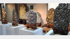  대한민국수석진흥원, ‘청송 꽃돌’ 유네스코 세계지질공원 재인증 추진