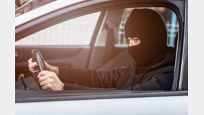 “도둑질 OK, 아동학대 NO!” 차 훔치다 되돌아온 도둑