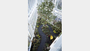 “집에 대한 로망을 완성한 공간”… e편한세상 ‘드림하우스’서 차세대 조경 방향성 제시