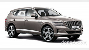 제네시스 고의 훼손하고 허위사실 유포… 현대차 전 협력사 직원 1년4개월 징역형