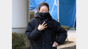 숙취운전 중 역주행 사고, 배우 채민서…2심도 집행유예