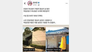 “윤서인 ‘대충 살았다’는 독립운동가 집…제가 그 손자다”