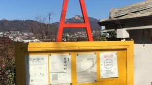 노란 캔버스[고양이 눈]