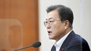 文대통령 “한미, 책임동맹으로 발전…한반도 평화는 반드시 가야할 길”