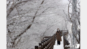‘소한이 대한 집에 놀러갔다 얼어 죽었다’ 속담 제주에선 안 통해