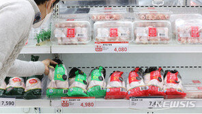 설 장바구니 물가 ‘비상’…계란 한판에 사과 10개 ‘4만원’