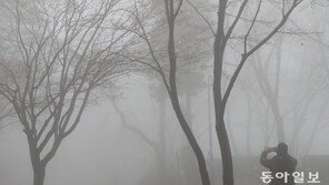 [청계천 옆 사진관]도심 속 안개 세상 