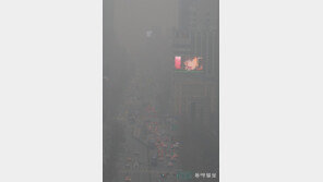 도심 안개[고양이 눈]