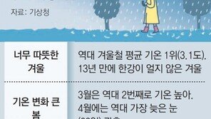 한국, 지난겨울엔 평균 3.1도 가장 따뜻… 작년 6월 22.8도〉7월 22.7도 ‘기온 역전’