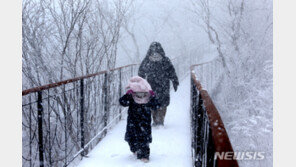 [날씨]토요일 아침 영상권…강원산지 최대 30㎝ 강한 눈