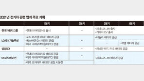 “현대차 살 돈으로 현대차 주식 샀어야…”