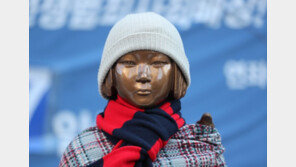 정부 “위안부 판결, 정부 차원서 日에 추가 청구 안 해”