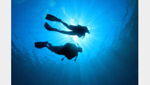 “무서워 못하겠다”는 학생에 스쿠버 강행…사망 이르게 한 강사 벌금형