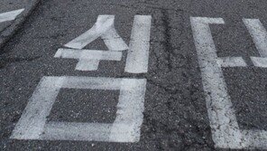 고속도로에서 내린 20대男, 뒤에서 오던 차에 부딪혀 숨져